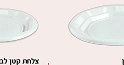 צלחות חד פעמי