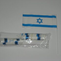 דגל ישראל על מקל פלסטיק